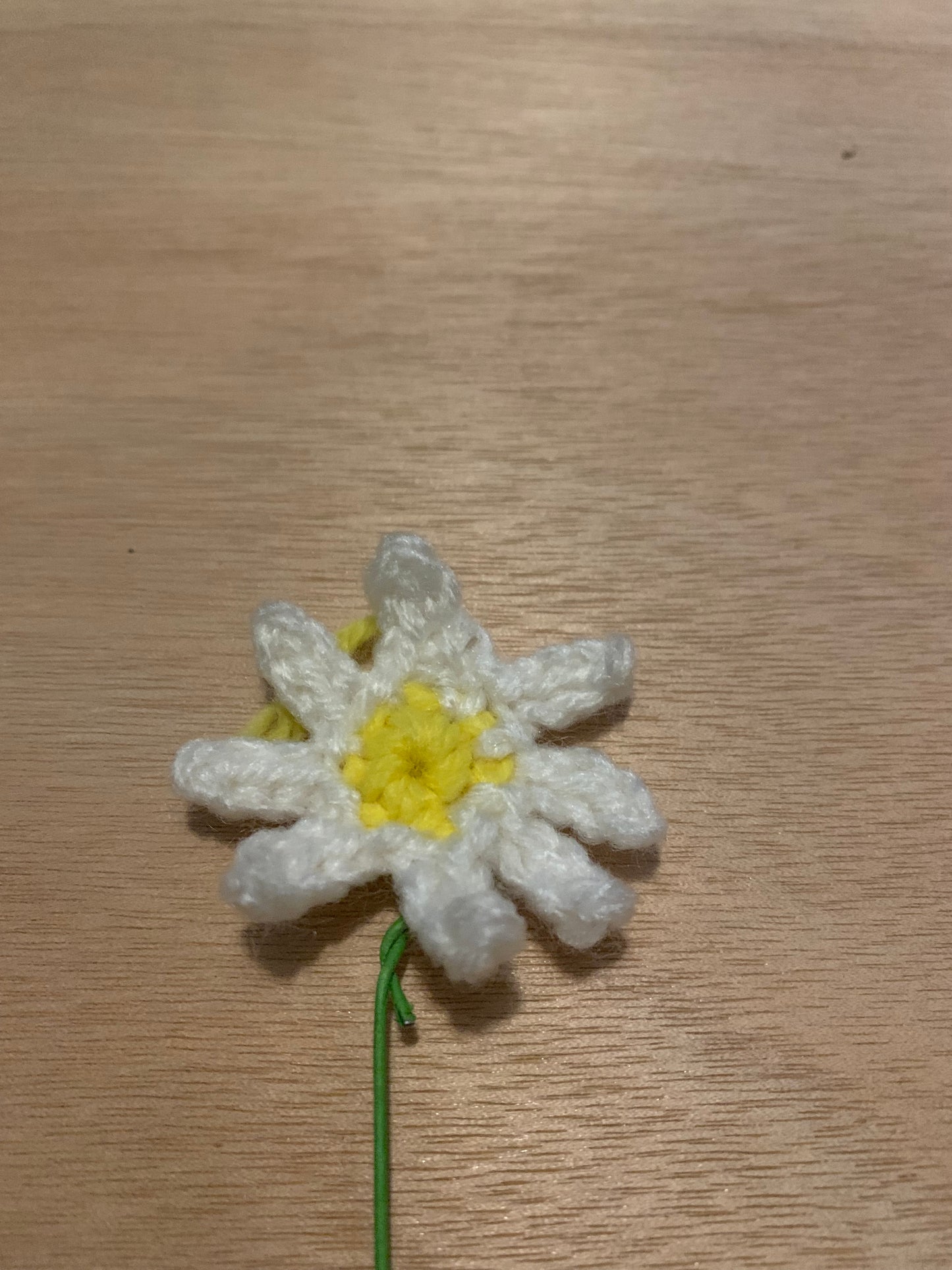 Daisy Stem